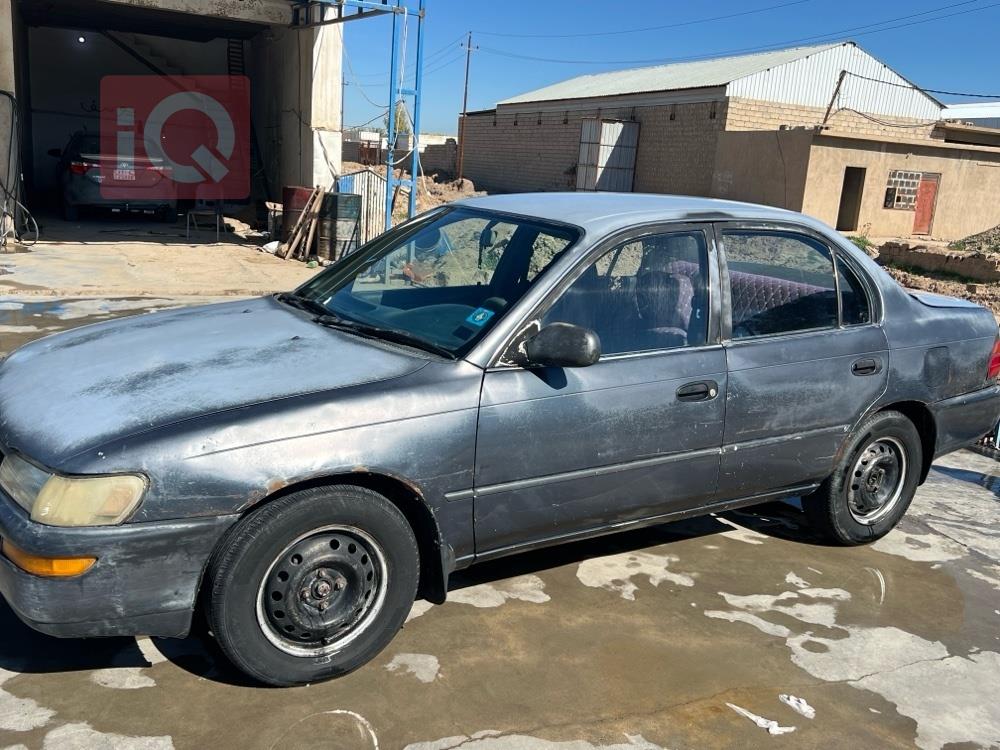 تويوتا كورولا